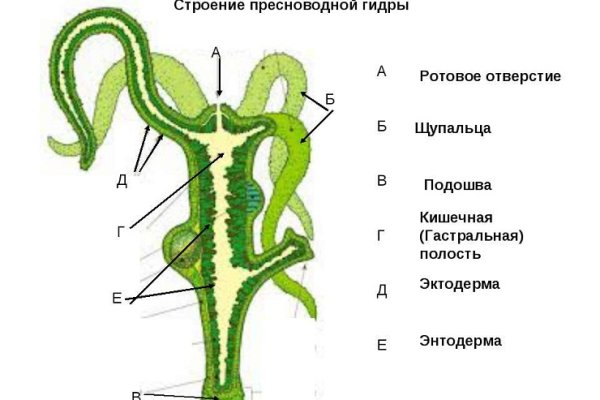 Кракен даркнет аккаунт